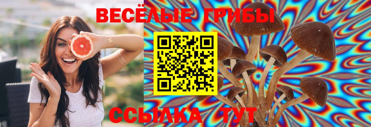 Галлюциногенные грибы мицелий Гуково