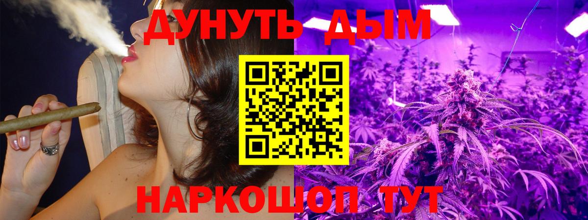 Бошки Шишки ГИДРОПОН  Канабис семена  Вход с VPN  Гуково 